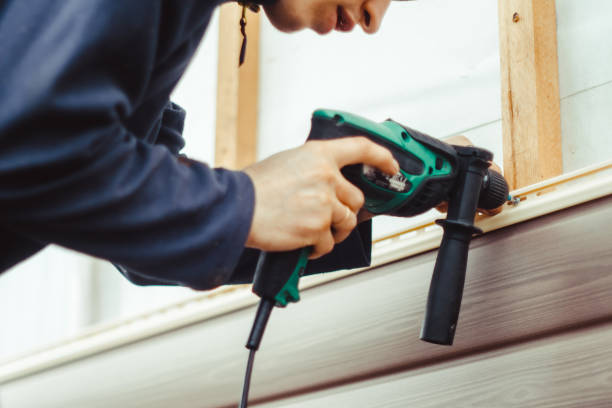 Best Custom Trim and Detailing for Siding  in Coal Valley, IL